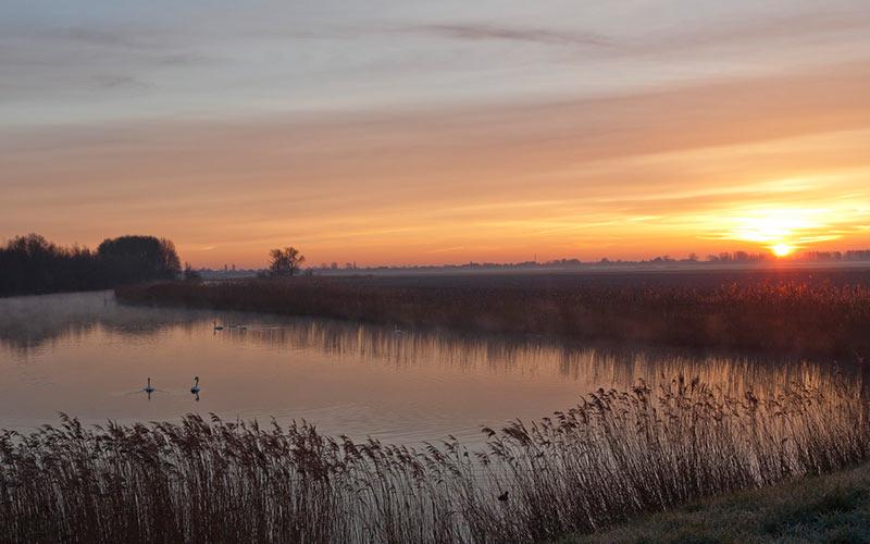 More-Itz natuurgebied Biesbosch