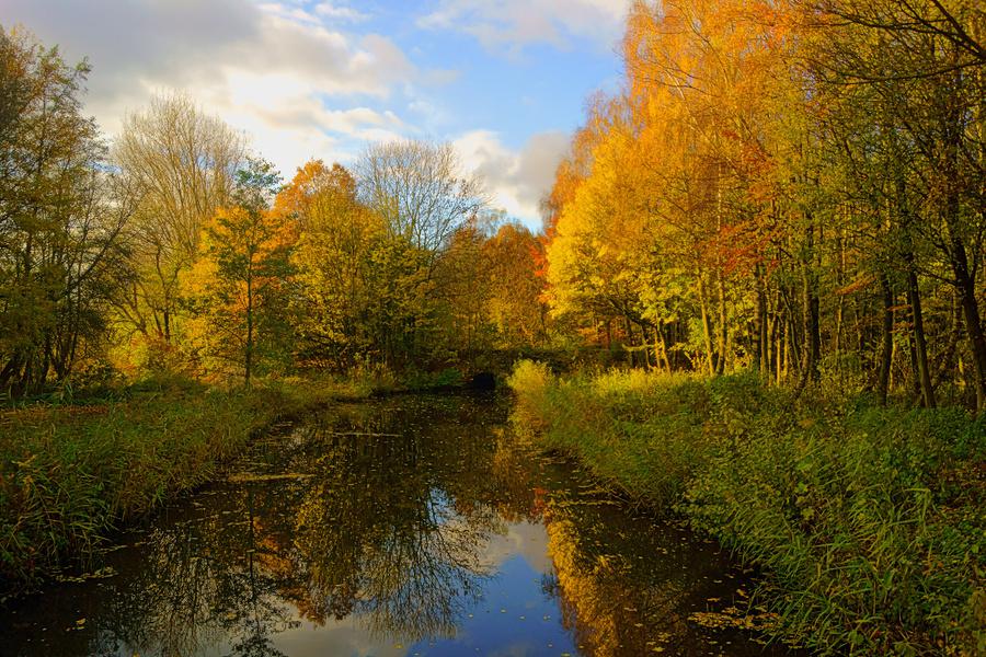 More-Itz vergaderen Biesbosch